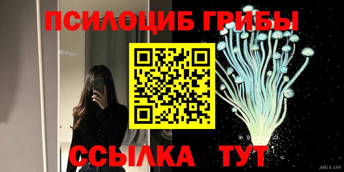 Псилоцибиновые грибы Psilocybine cubensis  Вход с VPN  Псилоцибиновые грибы мухоморы  Лыткарино 